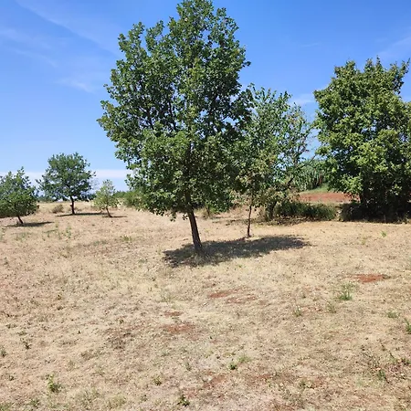 Camping Hartmann Group Camping *